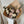 Pastel Dozen rose bouquet for delivery