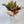 A tropical flower bouquet with palm leaves, orchids, protea and birds of paradise flower displayed in an upright delivery box and wrapped in kraft paper