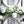 Table Garlands - Wedding Flowers